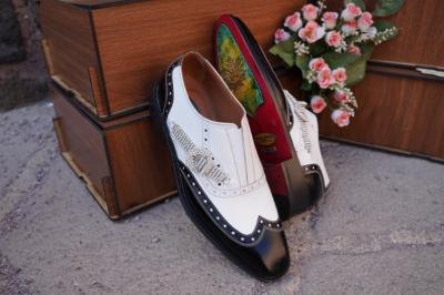 Solsays Erkek Ayakkabı Modeli